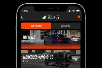 Instrucciones para la aplicación THOR
